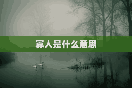 寡人是什么意思(寡人是什么意思解释)